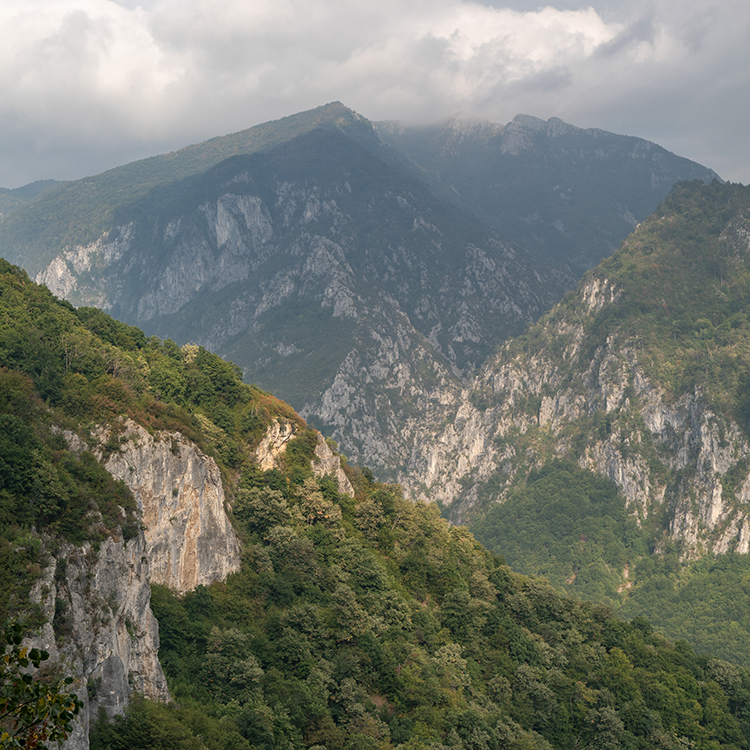 mountain_view